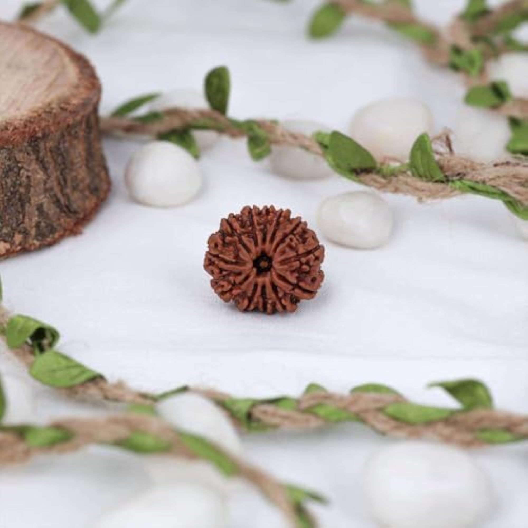 Mukhi Nepali Rudraksha, Natural & Certified, Unisex