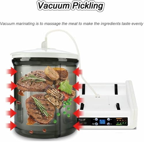 Gobelet à vide électrique pour attendrir le porc et le poulet