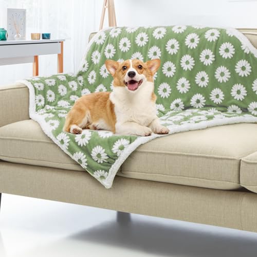 Image of Dog Blanket for Small Medium Large Dogs Fleece Cat Blankets for Indoor Cats Washable Fluffy Pet Bed Blanket Furniture Sofa Couch Cover Protector