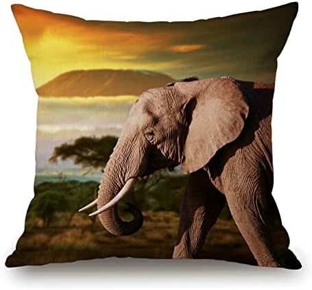 African Elephant on The Prairie Rustic Farmhouse Style Decorative Throw Pillow Cover Cushion Case for Sofa Couch Housewarming Gift Home Decor Cotton Linen 18" x 18" Inch