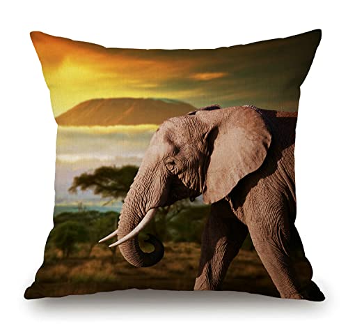 African Elephant On The Prairie Rustic Farmhouse Style Decorative Throw Pillow Cover Cushion Case For Sofa Couch Housewarming Gift Home Decor Cotton Linen 18" X 18" Inch #TOP6