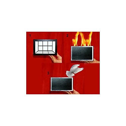Tora Fire and Dove Box avec apparition automatique de colombe