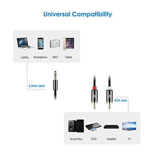 Rankie 3.5Mm To 2-Male Rca Adapter Audio Stereo Cable, 6 Feet #TOP2