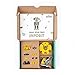 robot  Yellow Imagen de robot  Yellow