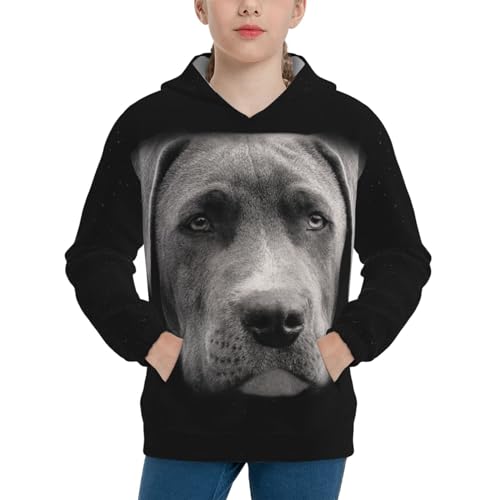 Pit Bull Boy, Girls Sports Shirt Youth Pullover Fashion Hooded Sweatshirt3