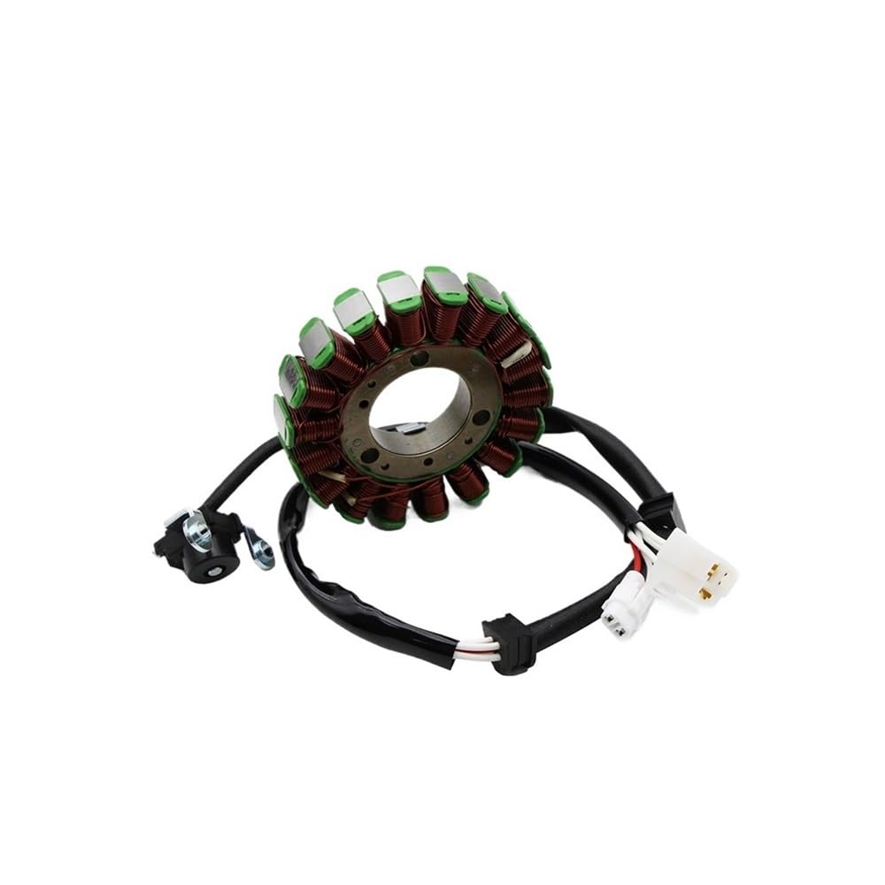 Bobine de stator haute isolation pour XT250 et XG250 de 2008 à 2018