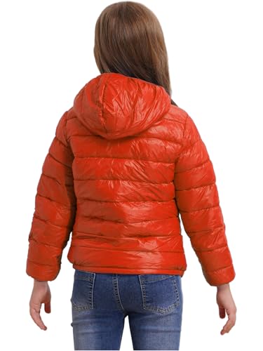 Boys Girls Casual Hoodie Puffer Jacket Zipper Down Coat Long Sleeve Warm Lightweight Outerwear for Kids2