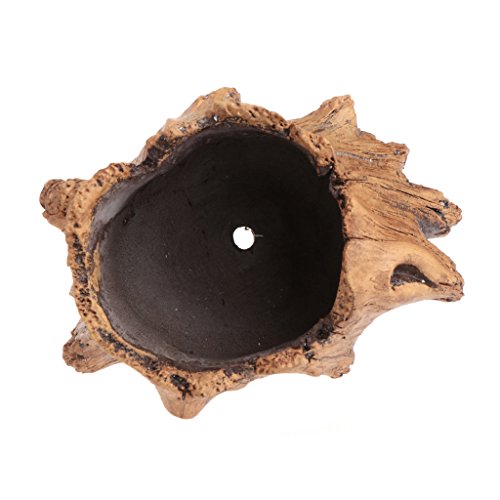 CADANIA Macetas, Maceteros imitación Madera de Cemento de Flores para suculentas Macetas Bonsai Decor-2 Cover