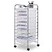 Giantex 10 Drawer Rolling Storage Cart Scrapbook Paper Office School Organizer (Clear)