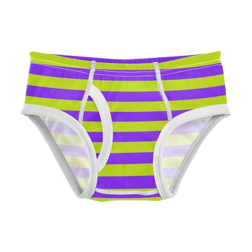 Green Purple Stripe Toddler Boy's Underwear 2T