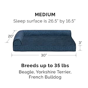   Furhaven-Orthopedic-Dog-Bed-for-MediumSmall-Dogs-w-Removable-Bolsters-Washable-Cover-For-Dogs-Up-to-35-lbs-Plush-Almond-Print-L-Shaped-Chaise-Blue-Almonds-Medium