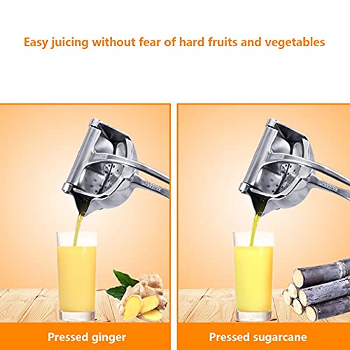 Espremedor manual multifuncional de frutas com limão Espremedor de frutas em aço inoxidável para uso