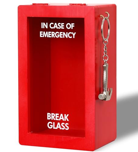 JULEASEL Large Emergency Break Glass Box DIY Money Cash Gift Card Holder