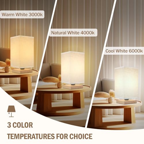 Small Table Lamp - Image 2
