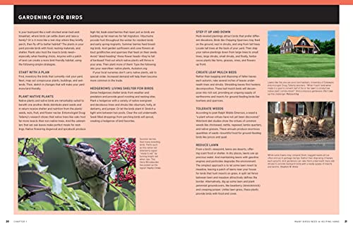 Audubon Birdhouse Book, Revised And Updated: Building, Placing, And Maintaining Great Homes For Great Birds #TOP2