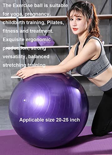 Image of Exercise Ball, Explosion-Proof Yoga Balance Ball(25in /65cm) with Pump, Heavy Duty Swiss Ball for Fitness, Pregnancy, Balance & Physical Therapy, Fitness in Home /Gym /Office