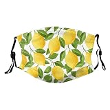 Lemon Adult Face Mask, Adult Personalised Printed Mask Reusable Suitable for Men and Women