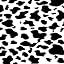 Cow Leopard