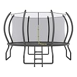 YUMPIE 8FT 10FT 12FT 14FT 15FT 16FT Outdoor Trampoline with Enclosure Net and Ladder, Recreational Trampolines for Kids and Adults, Quick Connect Frame, ASTM Approval
