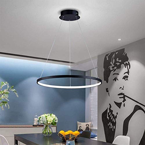 Moderne LED Suspension Lustre Suspendue Lampe Anneau Acrylique Abat-Jour Luminaire Bricolage Plafonnier Hauteur Réglable Lumière Cuisine Salle Manger Bar Cercle Droplight,A,80CM/6000K Cover