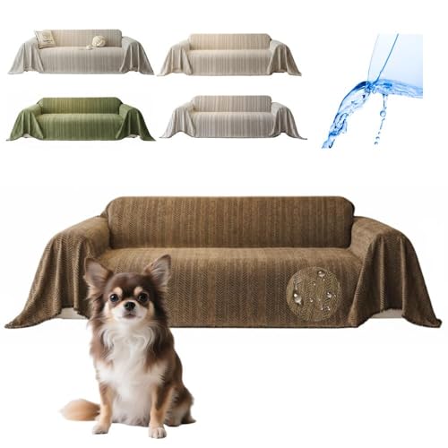 Lifetips `iChihuahuaj \t@[Jo[ k  􂦂 h }`Jo[ 2l| 3l| It IȂ ~ Eh~ LΉ lGʗp iuEj i130180CMj