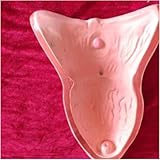 Zoom IMG-2 animal uterus anatomical model dog Zoom IMG-2 animal uterus anatomical model dog