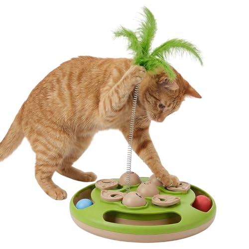Jouet d'exercice de chasse pour chat d'intérieur actif