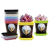 Vasi da fiori multicolore - Confezione da 8 fioriere per interni con colore rosso, viola, blu, verde, giallo, bianco trasparente, bianco e nero. 1 PCS pentole di ogni colore, se avete bisogno specificato il colore come vostro come, non esitate a inviarmi un email.
