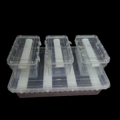 UpStyle Adjustable rod Bangle Box Chudi Set Organizer Jewellery Storage Display Box for Bangles Bracelet Wrist Watch Hair Bands Scrunchies, Transparent (Set Of 4 Boxes) (4 RODS+1ROD+1ROD+1ROD) (B0CR7G4R77) Amazon Price History, Amazon Price Tracker