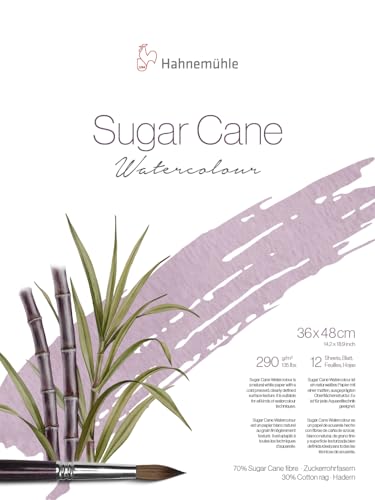 Hahnem&uuml;hle Sugar Cane Watercolor Block - 14.2 x 18.9 12 Sheets