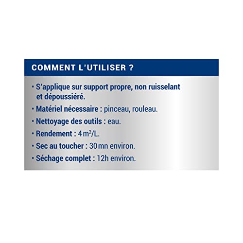 RIPOLIN -Traitement Murs Humides et Salpêtre Peinture Mat Incolore 0,75 L – vue 8