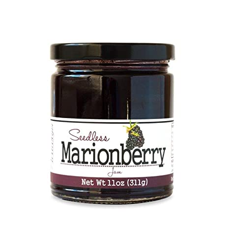Paradigm Foodworks Marionberry Jam, Made with No Artificial Flavors or Preservatives, All Natural Ingredients, 11 oz