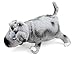 Set of Walter The Farting Dog Book and Toy