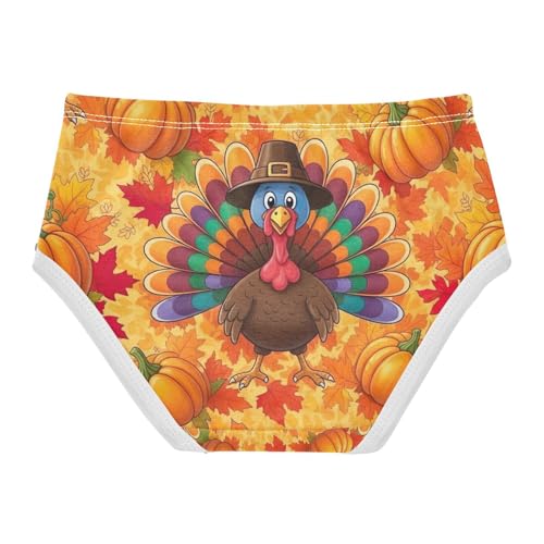 Girls Panties, Turkey Colorful Toddler Girl Briefs, Girls Cotton Underwear, 2T–8 Years2