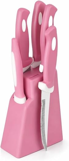 5 Pc Plastic with Stand, Stainless Steel Knife Set for Vegetable Meat Cutting Knife
