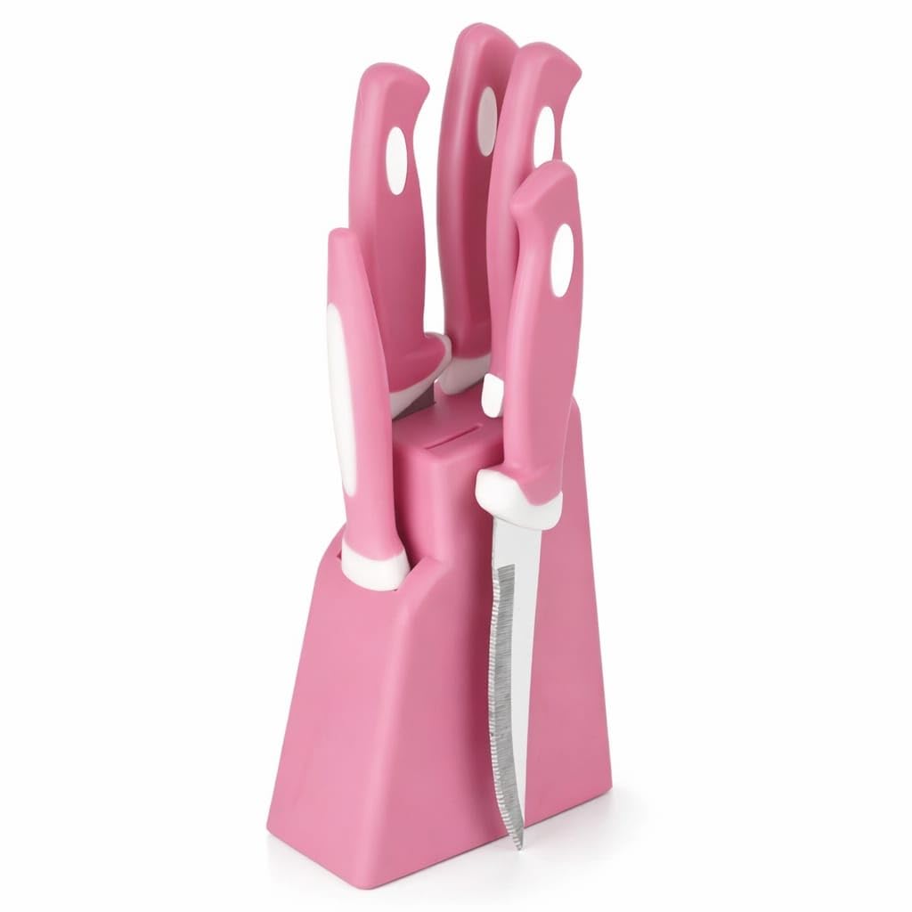 5 Pc Plastic with Stand, Stainless Steel Knife Set for Vegetable Meat Cutting Knife