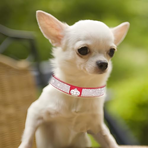 Collier strass pour chat et chiot idéal pour les fêtes - 4