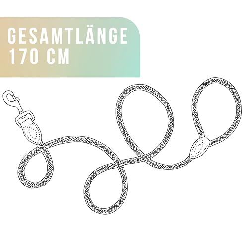 ne&no Tauleine 1.7m (leicht dehnbar) für mittelgroße bis ganz große Hunde I Trainingsleine I Hundeleine robust I Führleine rund, geflochten I Seil Leine Hund I Cityleine I Dog Leash SALBEIGRÜN, 170 cm