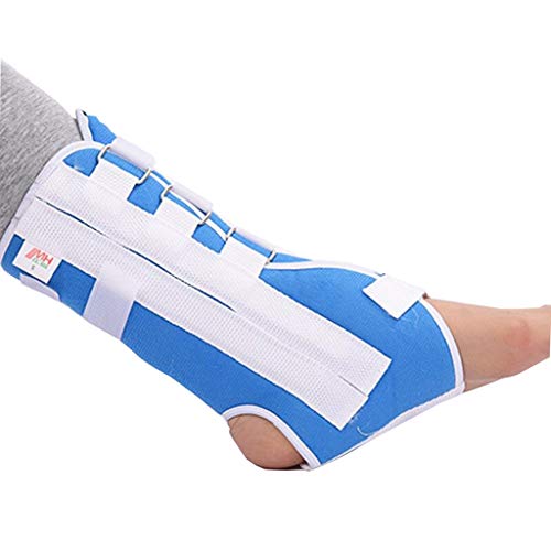 񑕋Au[XT|[g񑕋u[X߉\ȕG֐߃T|[ge񃉃bvveN^[