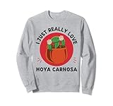 Cute Hoya Carnosa I Just Really Love Hoya Carnosa