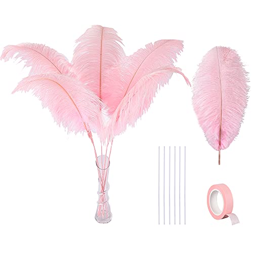 Ballinger Light Pink Ostrich Feathers - 12pcs 16-18inch Feathers Making Kit Tall Ostrich Feathers Bulk for Vase Wedding Party Centerpieces and Home Decor