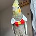 CXYYXF Bird Collar, Bird Clothes, Parrot Bird Supplies, Light Flying Clothes for Parakeets, Cockatiels, Conures, Lovebirds Cute Bow Tie Scarf (S)