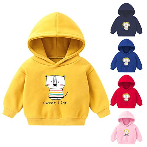 Betadog Boy's Pullover Hoodies Girls Printed Hoodie Sweatshirt Kids Cartoon Pullover Sweatshirt Kid (Pink, 3-4 Years)