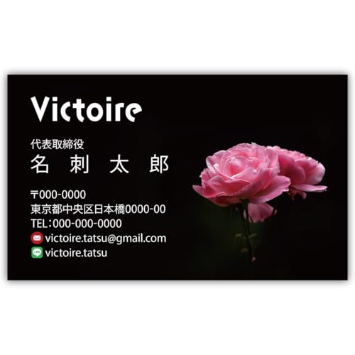 h쐬 h i 100 Ж tJ[ P[Xt No.2125