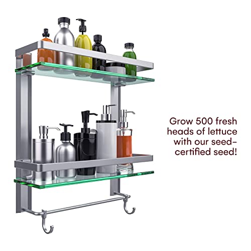 Vdomus Glass Bathroom Wall Organizer Shelf, 2-Tier Glass Shelf With Integrated Towel Bar Wall Mounted Shower Storage 15.2 By 5 Inches, Brushed Silver Finish (2 Tier Glass Shelf) #TOP1