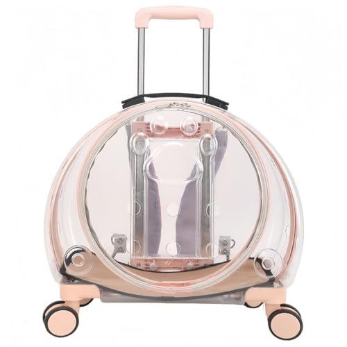 JORERAORMES ANybgg[P[X́AxfނōĂAn[hȕیɋAEŒʋCAhA_Œ\ȃg[ŁA킢ybĝ߂̃|[^uňSȃoClXg쐬A܂܂ȗsViI