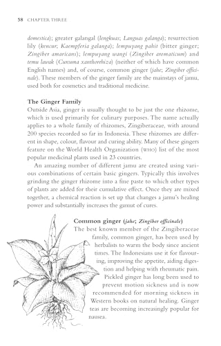 Indonesian Herbal Healing: The Science and Lore of Jamu Herbal Preparations and Treatments - Image 11