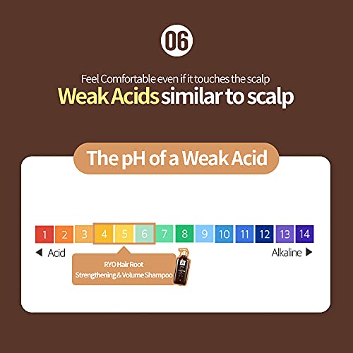 Ryo Hair Strengthen & Volume Shampoo 550Ml (18.6Oz) Extra Strength Volumizing Shampoo, Thicker And Fuller Hair, Promote Hair Growth, For Thinning Hair And Hair Loss, Men And Women Shampoo, All Hair Types #TOP6