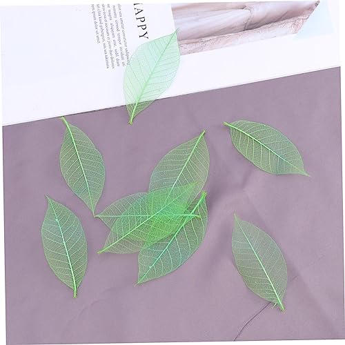 PRETYZOOM 50 Peças De Folhas De Scrapbook Naturais Folhas De Esqueleto Enfeites De Flores Folhas Sec