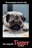  Just a pug dad Tigger: Weekly planner diary notebook, Journal with a pug on every page 6\